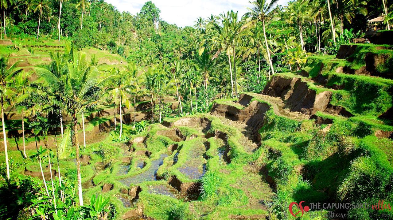 Capung Sakti Villas Ubud Exterior foto